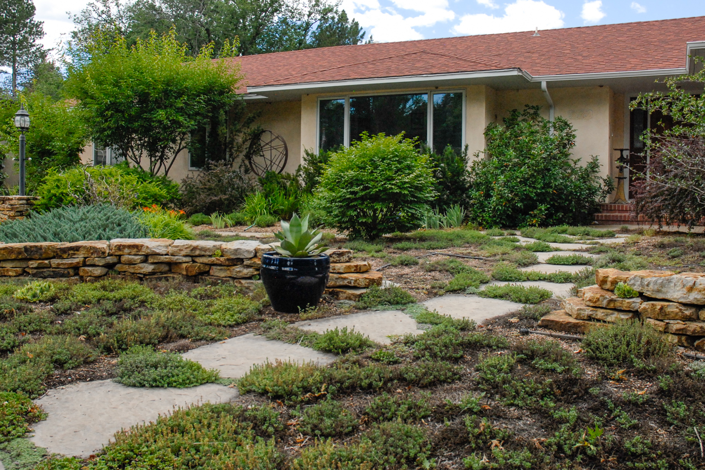 Groundcover Front Yard